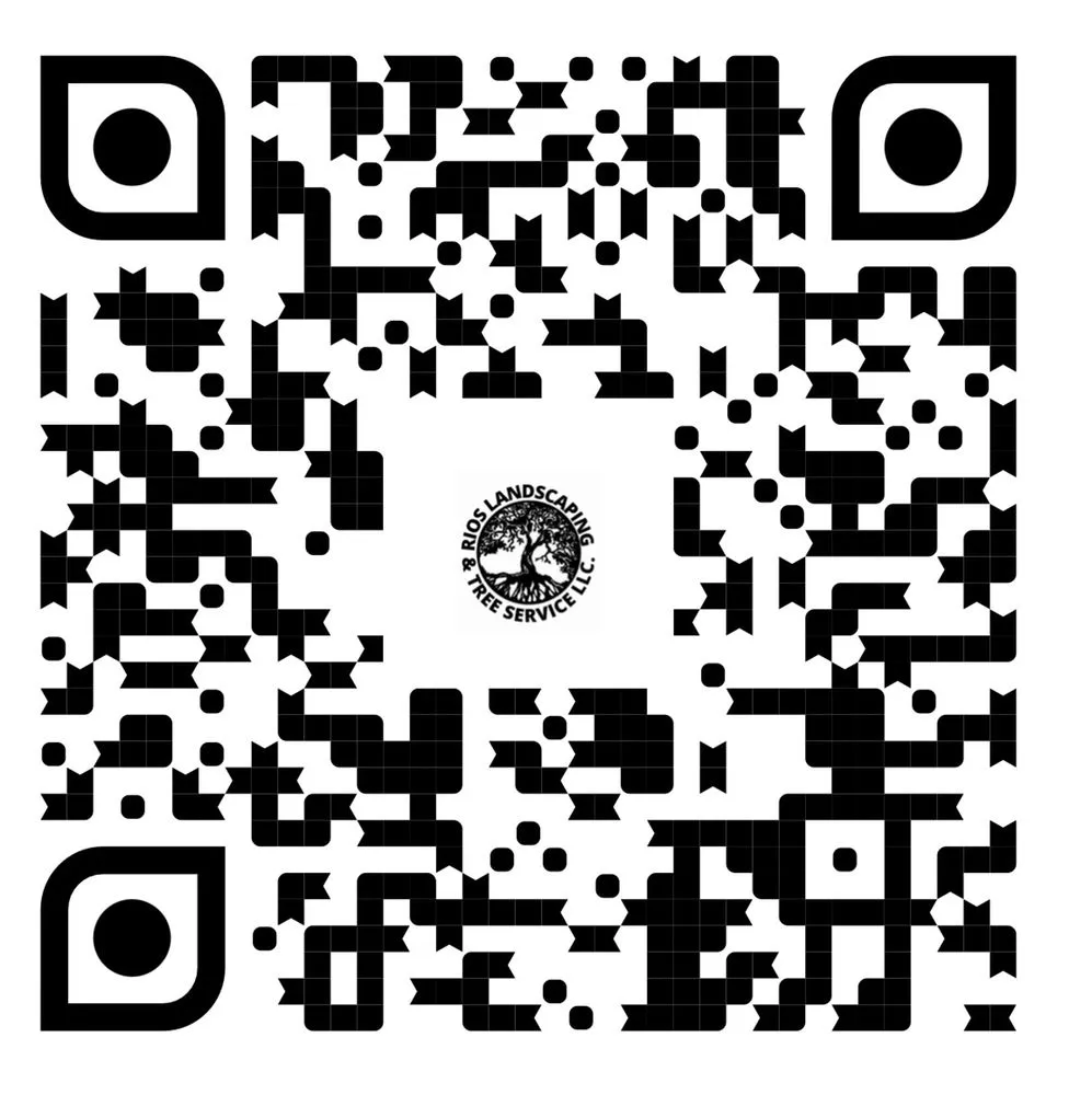 Affordable landscaping services in Middletown, OH by SRB construction and landscaping