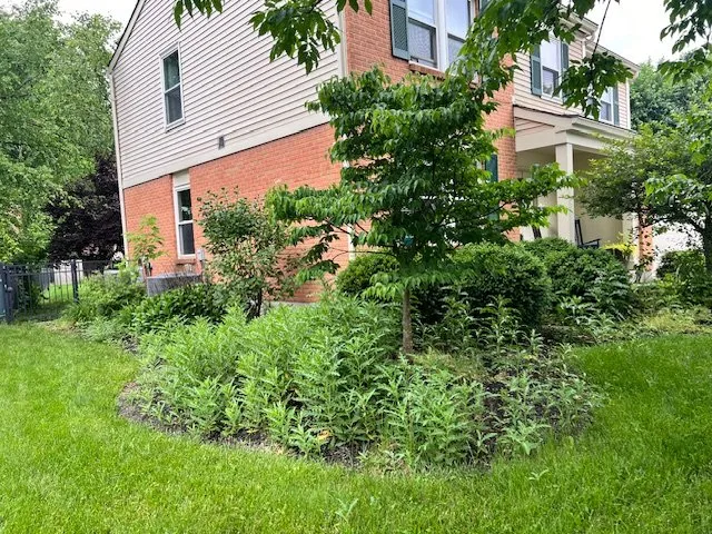 Expert yard cleanup service experts serving Middletown, OH - SRB construction and landscaping