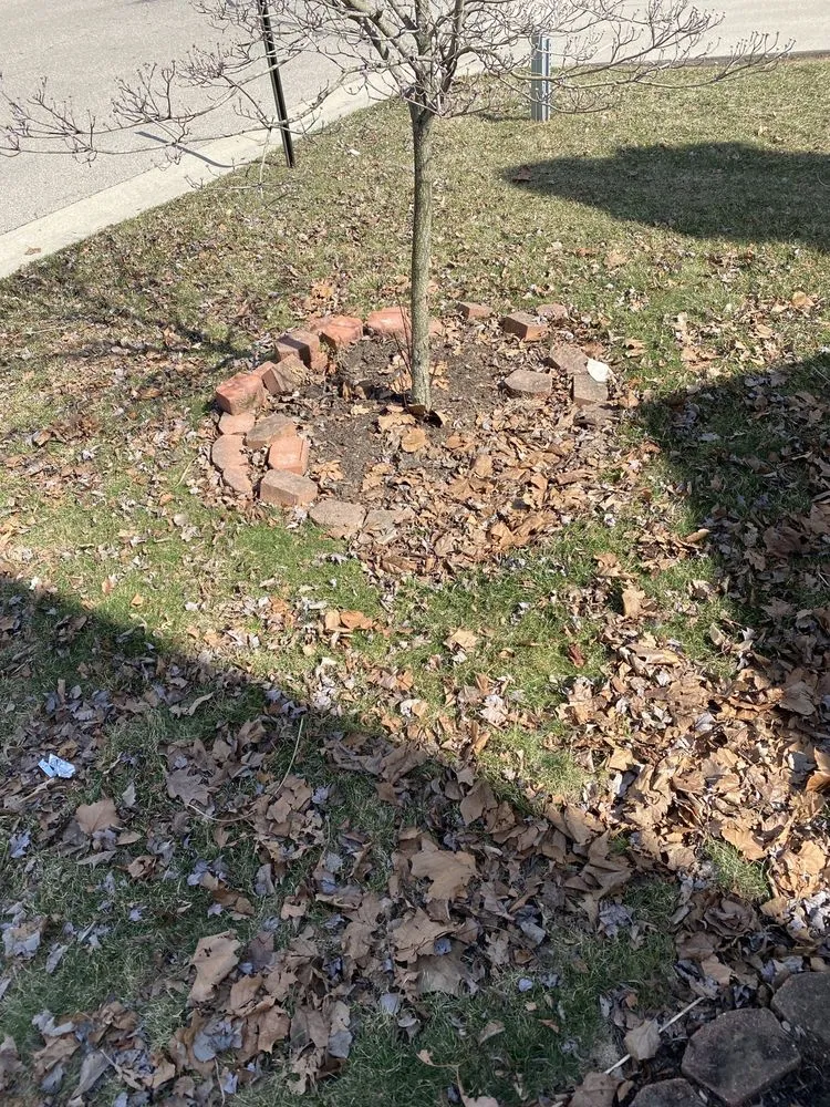 Trusted landscaping services in Middletown, OH - SRB construction and landscaping