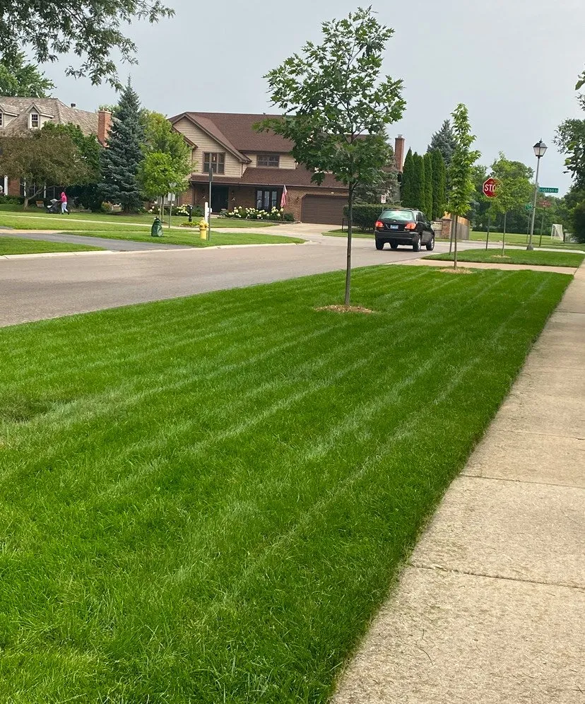 Local residential landscaping in Wheaton, IL by SRB Lawn Care