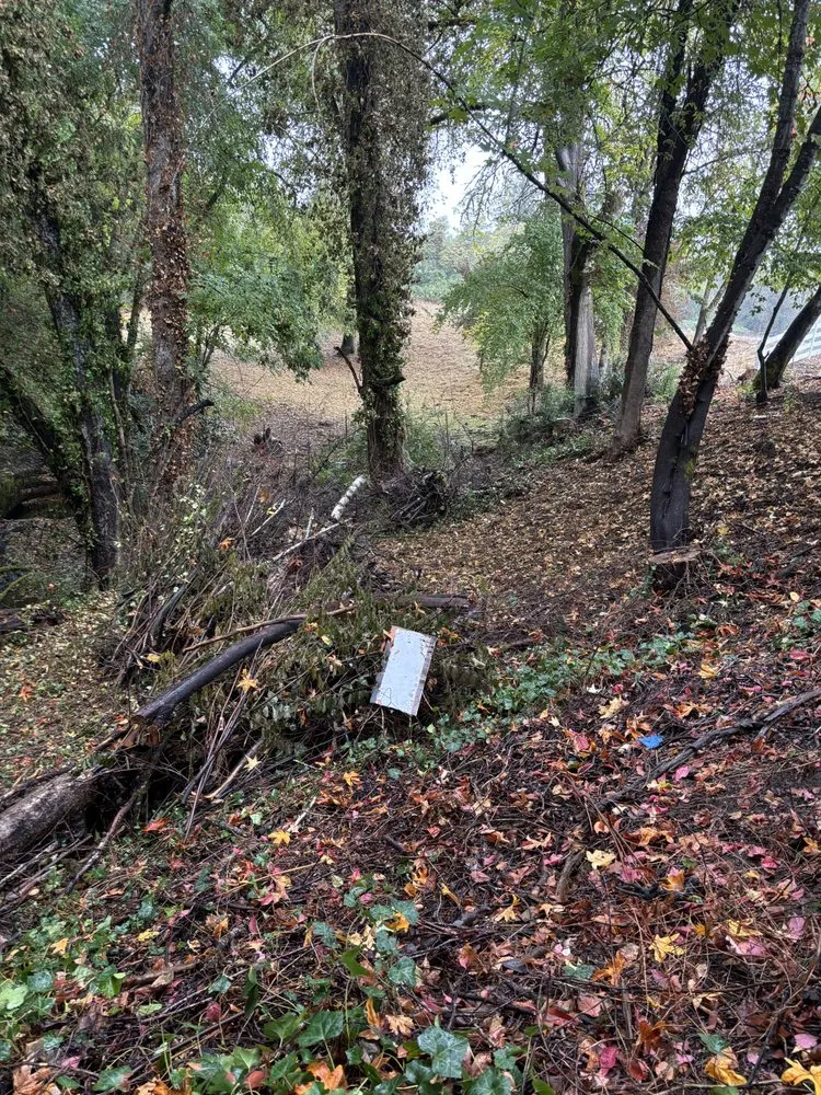 Local lawn care service for beautiful yards in Myrtle Creek, OR by SRD Landscaping