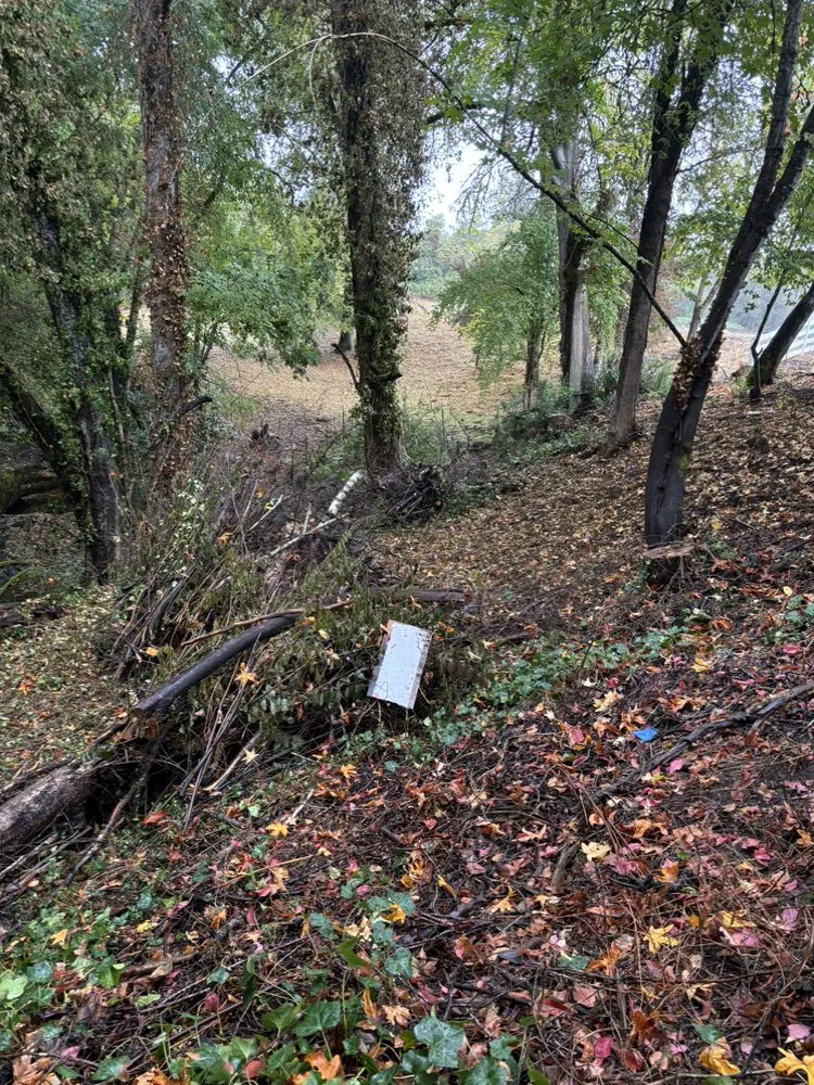 Top-rated landscape installation experts serving Myrtle Creek, OR - SRD Landscaping