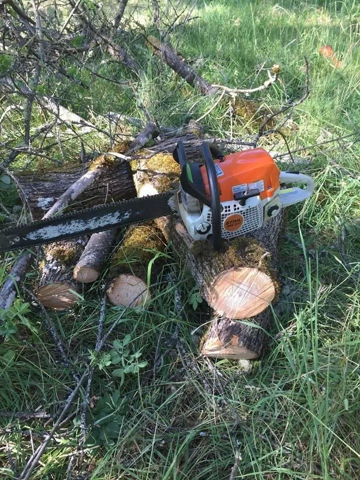 Reliable landscaping services in Myrtle Creek, OR by SRD Landscaping