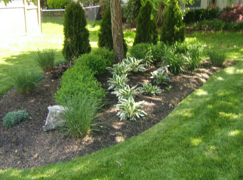 Affordable yard maintenance for year-round maintenance across West Babylon, NY - SRI Landscape Design