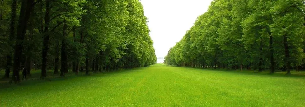 Reliable yard maintenance near you in West Babylon, NY by SRI Landscape Design