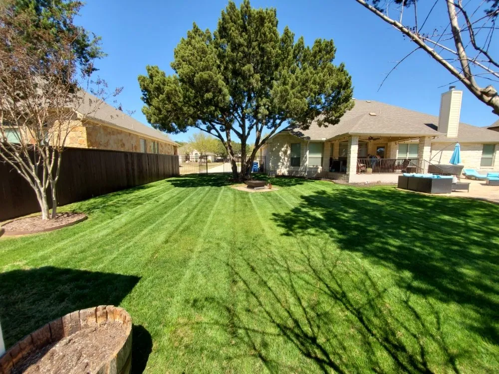 Expert lawn care service for homes in New Braunfels, TX by SRJ Lawn Care