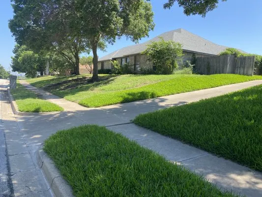 SRM Lawn & Tree Service Logo