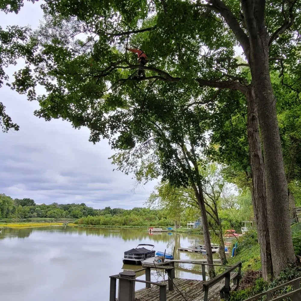 Reliable yard maintenance for homes across Westfield, IN - SRO Outdoors