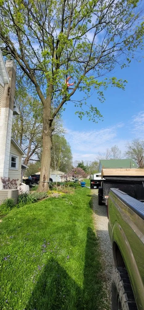 Local garden landscaping for homes across Westfield, IN - SRO Outdoors