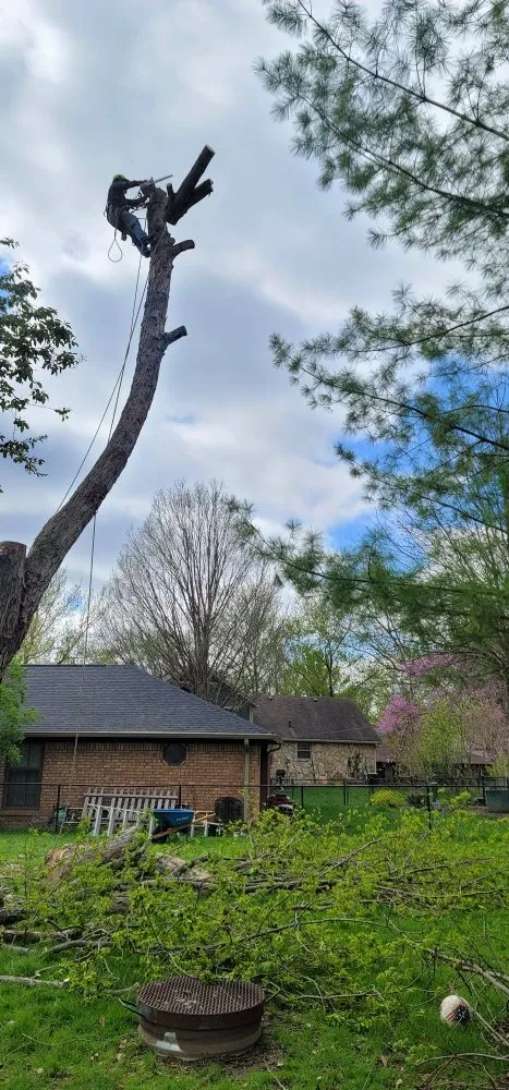 Affordable landscape installation with custom design across Westfield, IN - SRO Outdoors