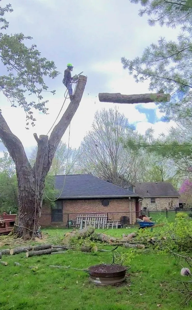 Custom landscape installation for homes in Westfield, IN by SRO Outdoors