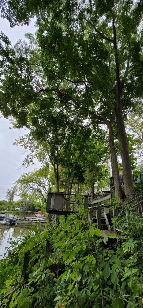 Professional yard maintenance experts serving Westfield, IN - SRO Outdoors