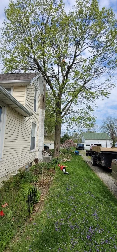 Expert garden landscaping in Westfield, IN by SRO Outdoors