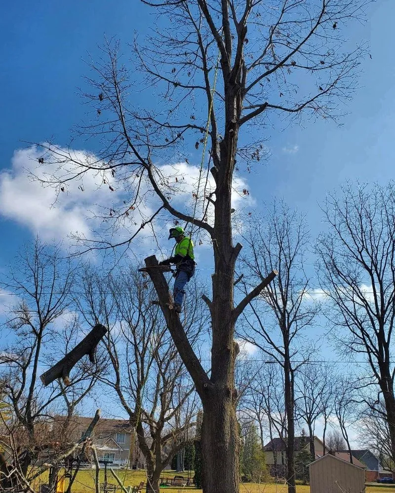 Reliable outdoor landscaping for year-round maintenance across Westfield, IN - SRO Outdoors