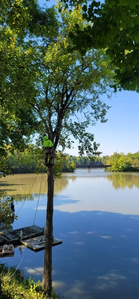 Trusted landscape design for year-round maintenance in Westfield, IN by SRO Outdoors