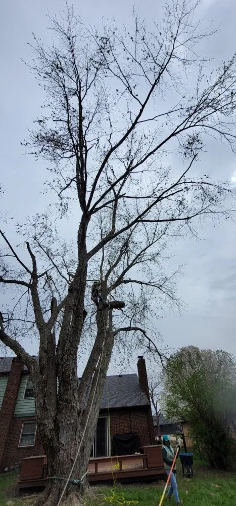 Reliable residential landscaping experts serving Westfield, IN - SRO Outdoors