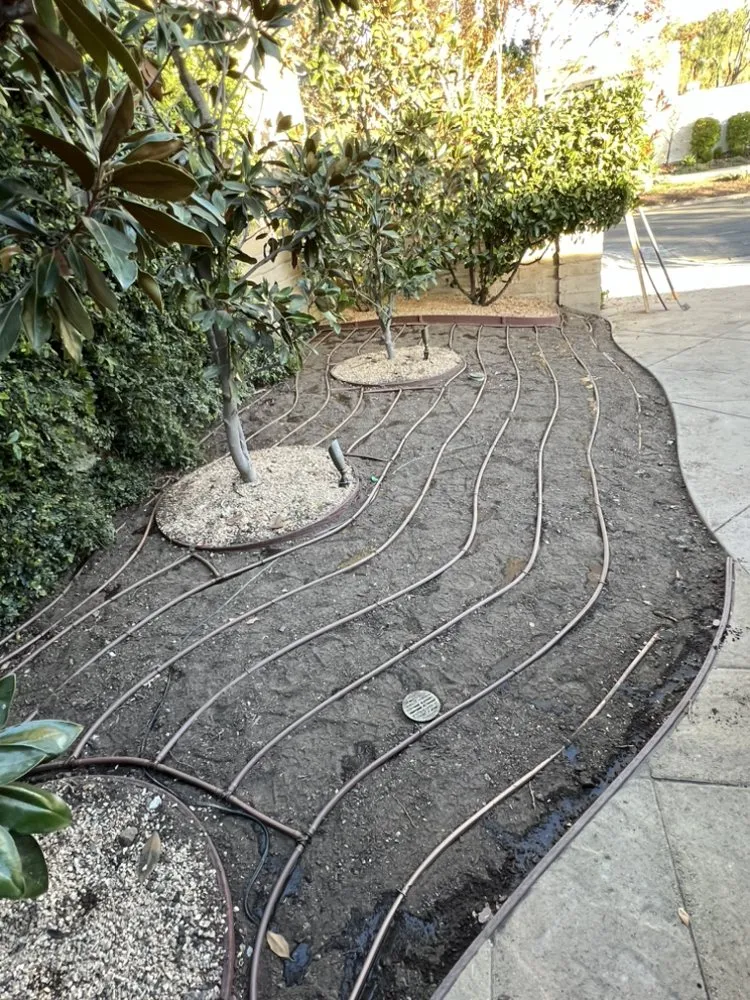 Trusted yard cleanup service in Simi Valley, CA - SRP Sprinkler And Valve Repair