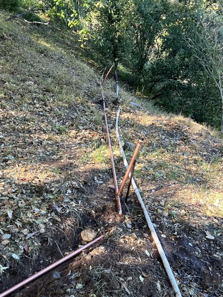 Custom lawn mowing service in Simi Valley, CA by SRP Sprinkler And Valve Repair