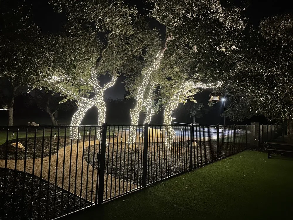 Top-rated lawn care service experts serving Cypress, TX - SRS Landscape & Hardscape