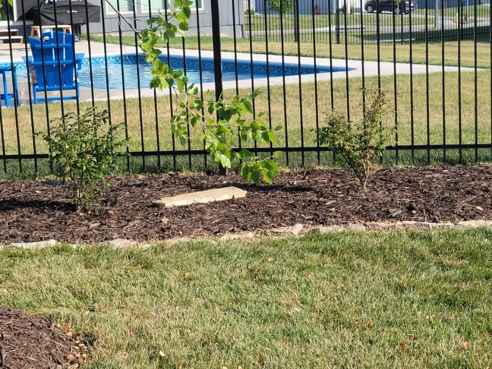 Expert yard maintenance in Kansas City, MO - SRS Lawn & Landscape