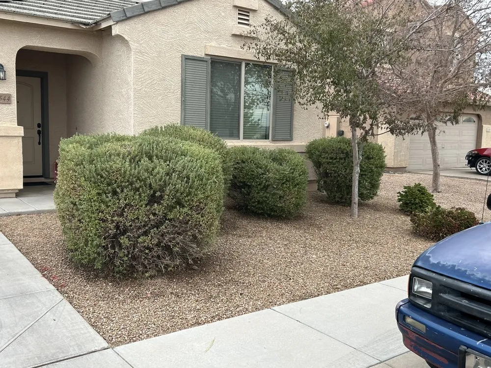 Expert landscape installation in Buckeye, AZ by SRZ Landscaping