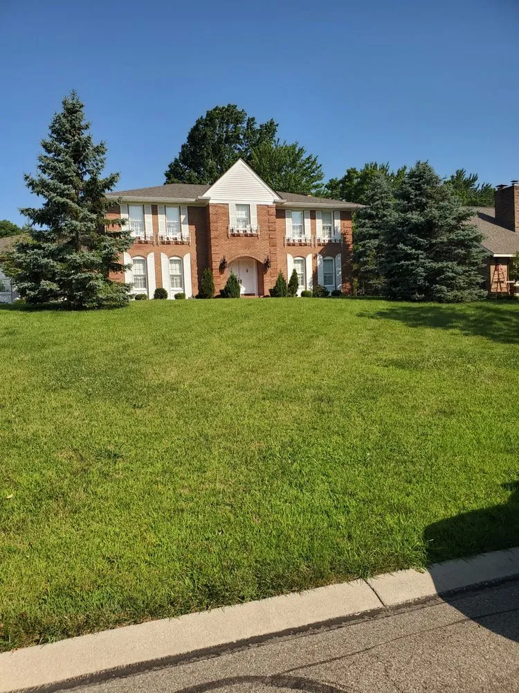 Custom yard cleanup service experts serving Cincinnati, OH - SS & P Landscaping