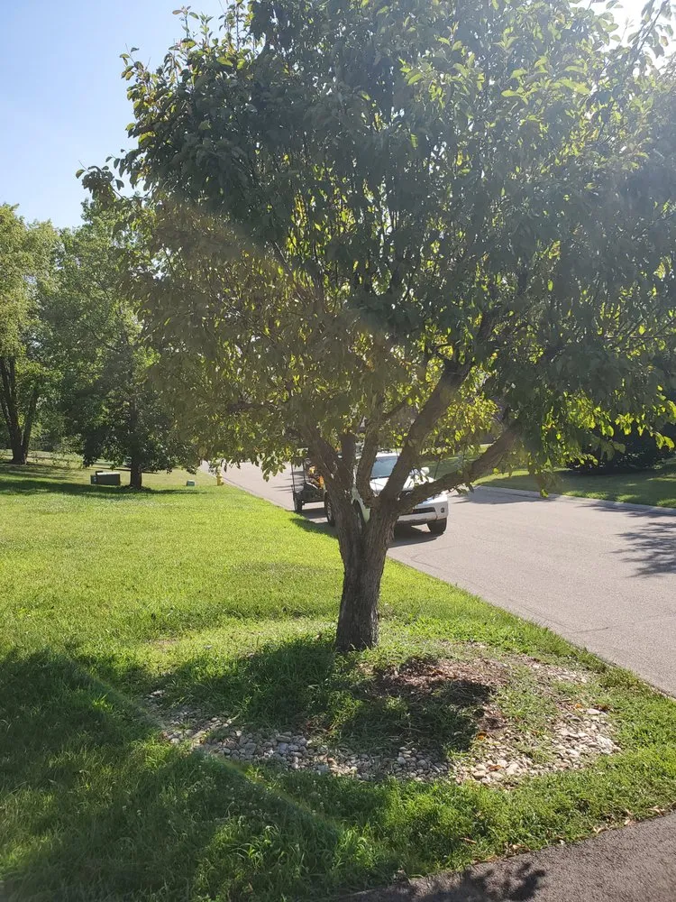 Top-rated yard maintenance in Cincinnati, OH - SS & P Landscaping