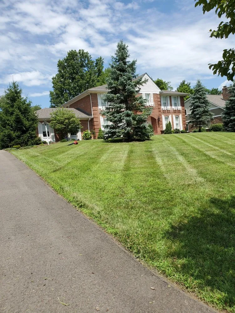 Affordable yard cleanup service in Cincinnati, OH by SS & P Landscaping