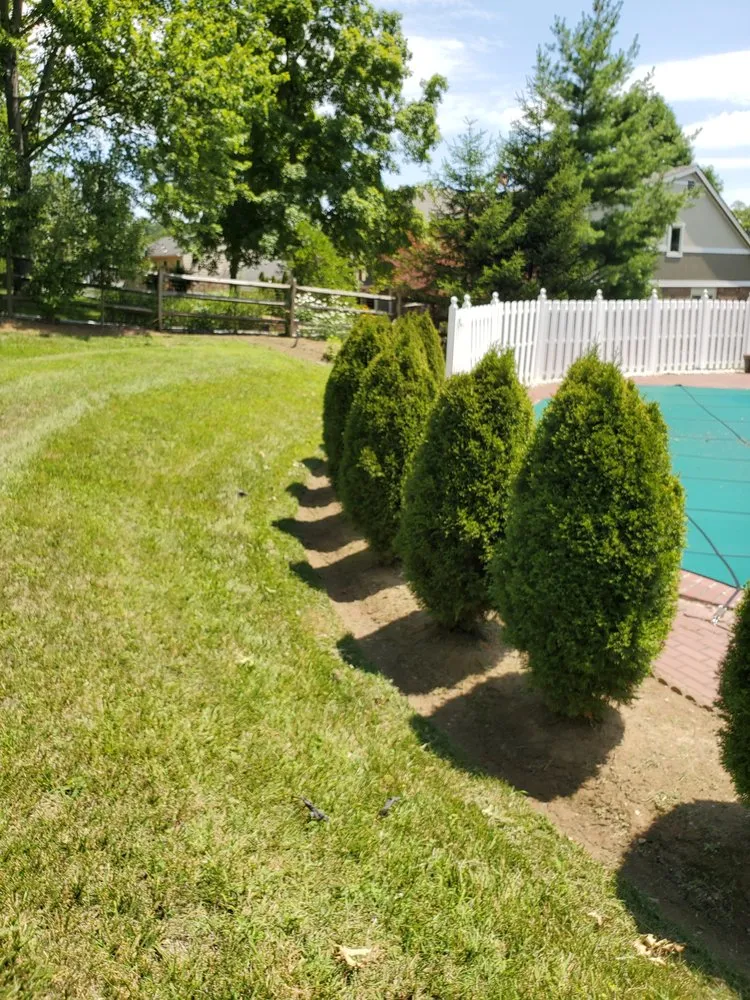 Trusted lawn care service in Cincinnati, OH - SS & P Landscaping