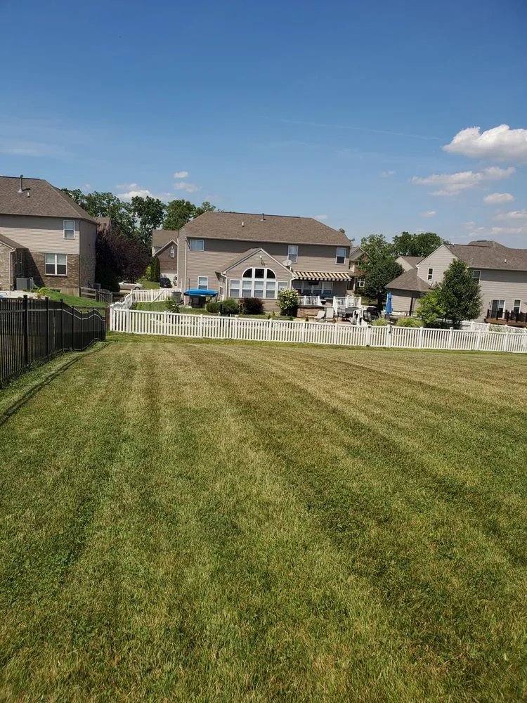 Reliable yard cleanup service experts serving Cincinnati, OH - SS & P Landscaping