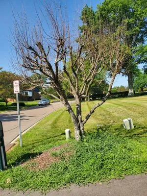 SS & P Landscaping Logo