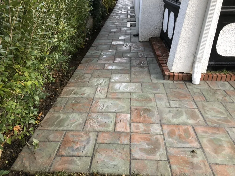 Expert yard maintenance for year-round maintenance in Village of Pelham, NY by S&S Contractors