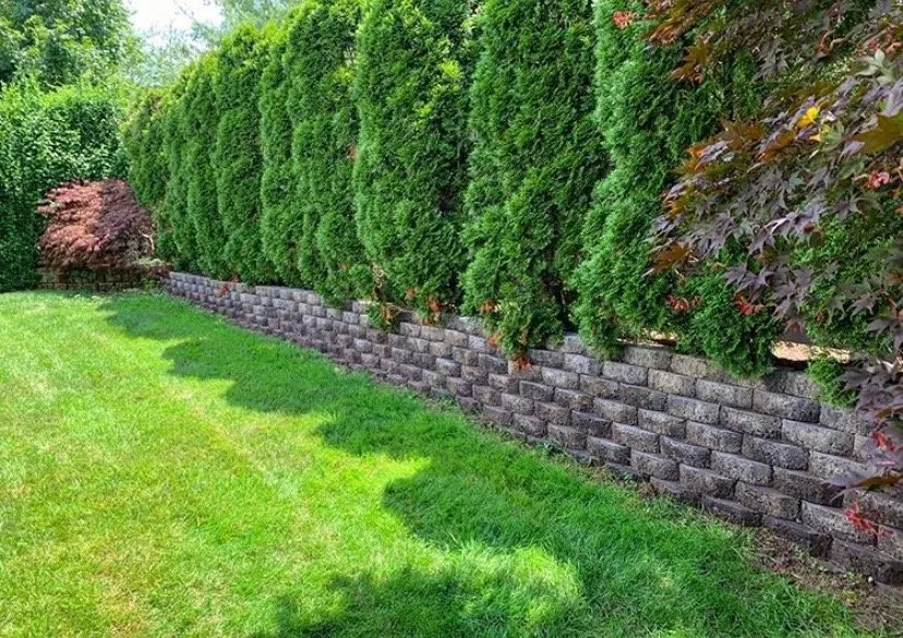 Custom lawn care service for year-round maintenance in Village of Pelham, NY by S&S Contractors