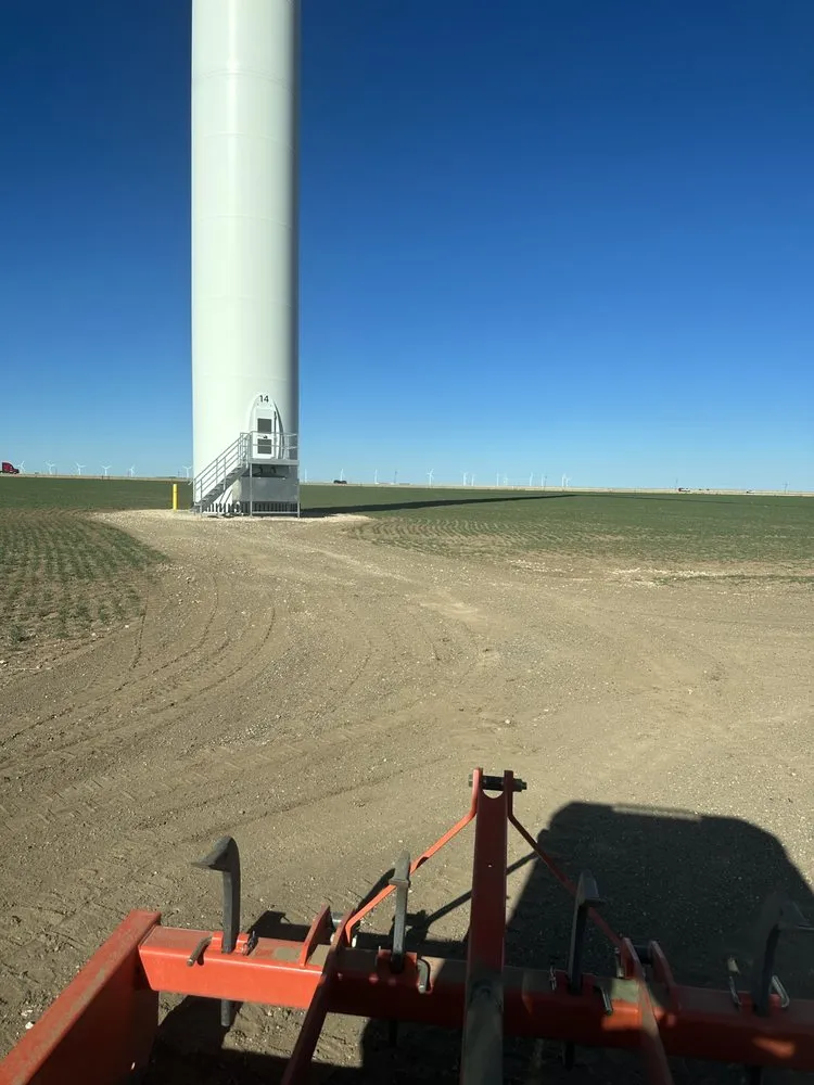 Expert landscaping services for beautiful yards across San Ramon, CA - S&S dirt worx