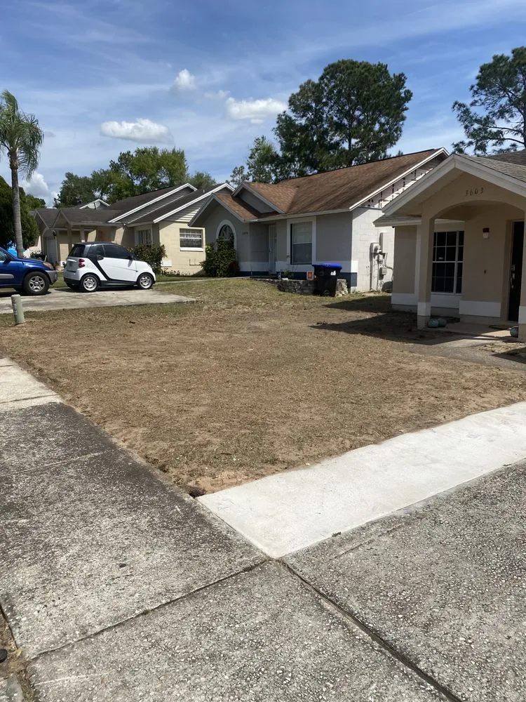 Affordable landscape design with custom design across Savannah, GA - S&S Express Services