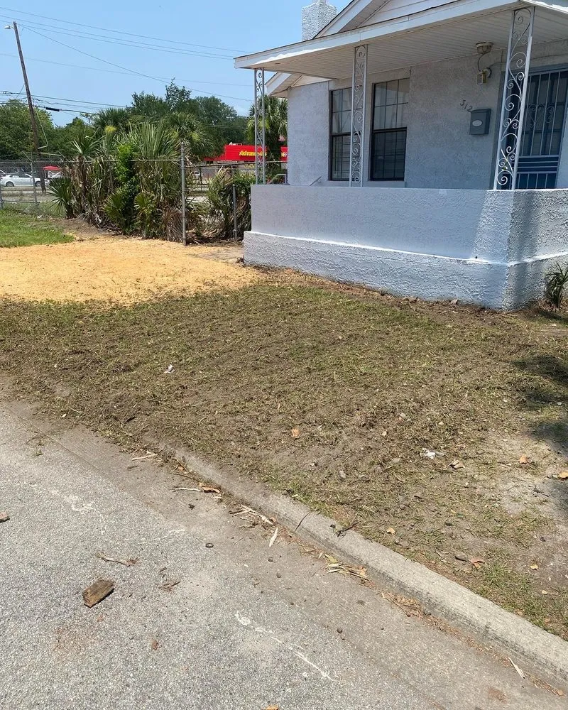 Expert yard maintenance in Savannah, GA by S&S Express Services