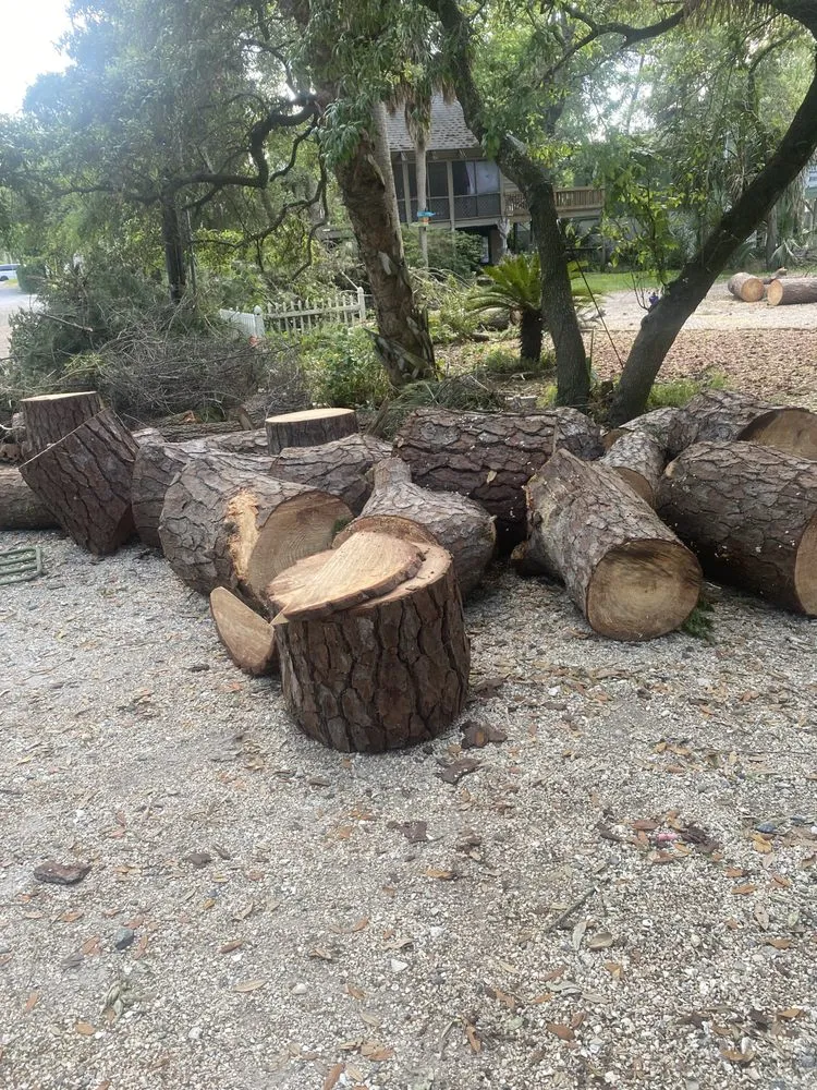 Trusted residential landscaping in Savannah, GA - S&S Express Services