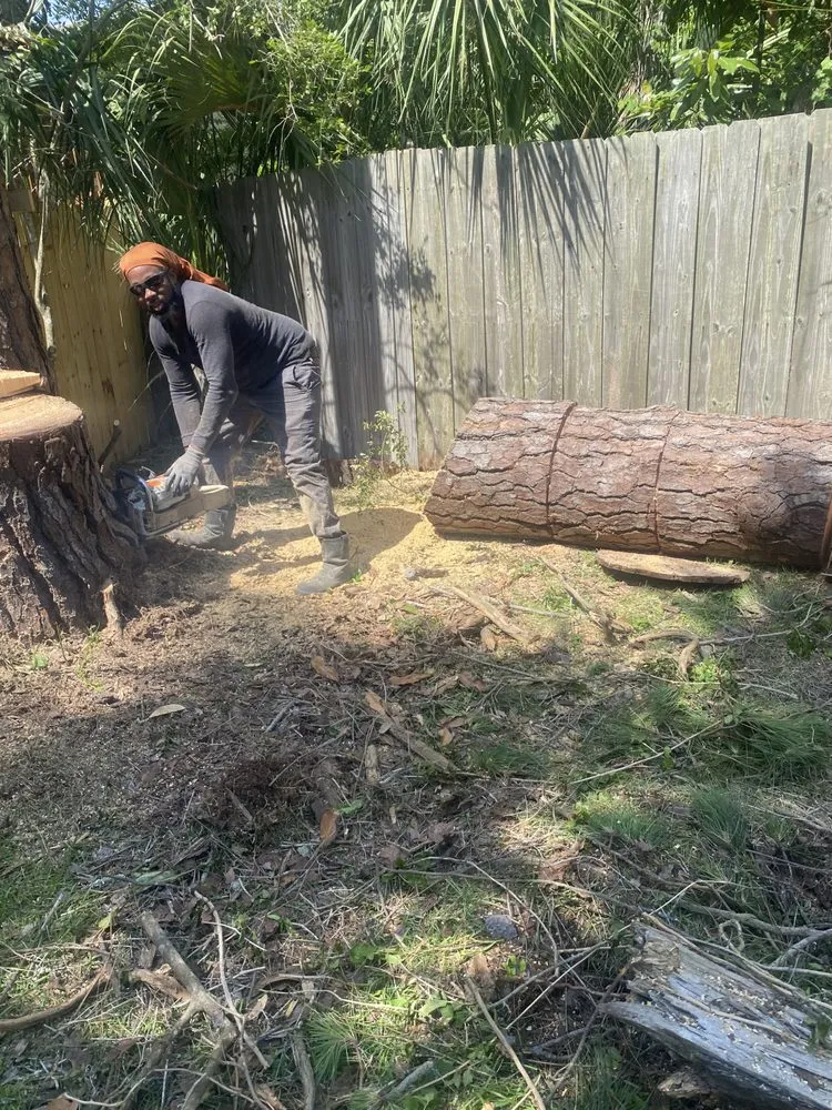 Professional outdoor landscaping for residential properties in Savannah, GA by S&S Express Services