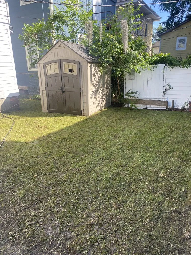 Trusted yard maintenance for year-round maintenance across Savannah, GA - S&S Express Services