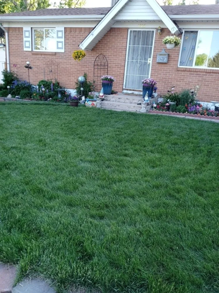 Expert lawn mowing service for residential properties across Colorado Springs, CO - S&S Fencing& Landscaping