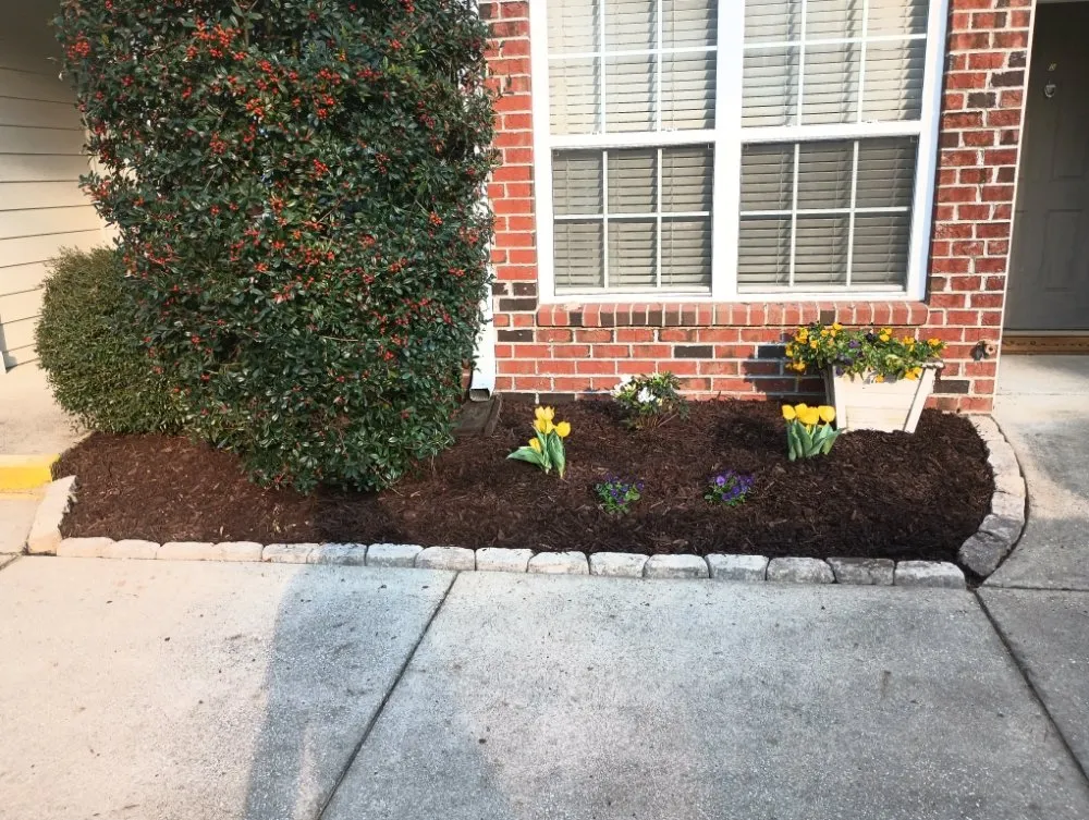 Professional lawn mowing service experts serving Charleston, SC - SS Handyman & Landscaping