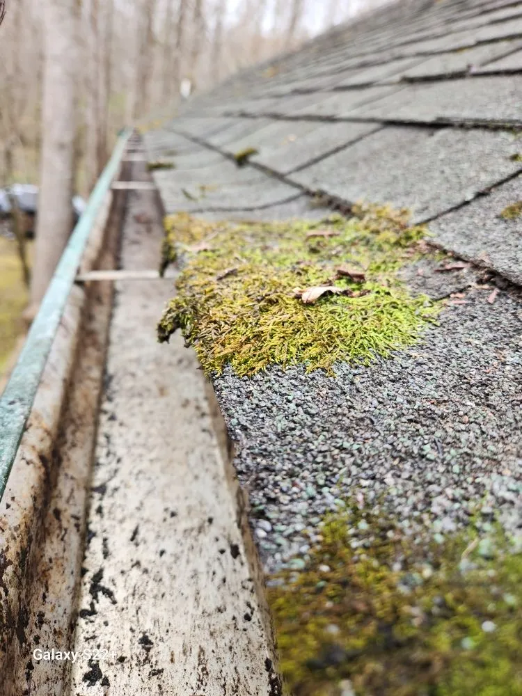 Trusted landscaping services in Sevierville, TN - S&S Handyman