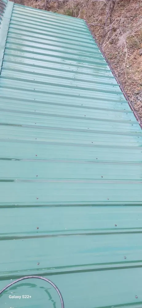 Professional yard cleanup service in Sevierville, TN - S&S Handyman