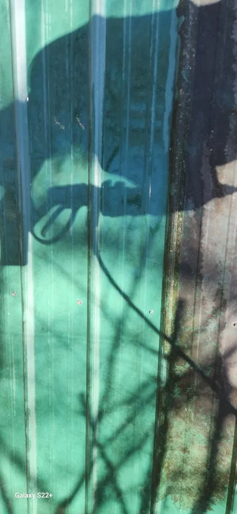 Local landscape design in Sevierville, TN by S&S Handyman