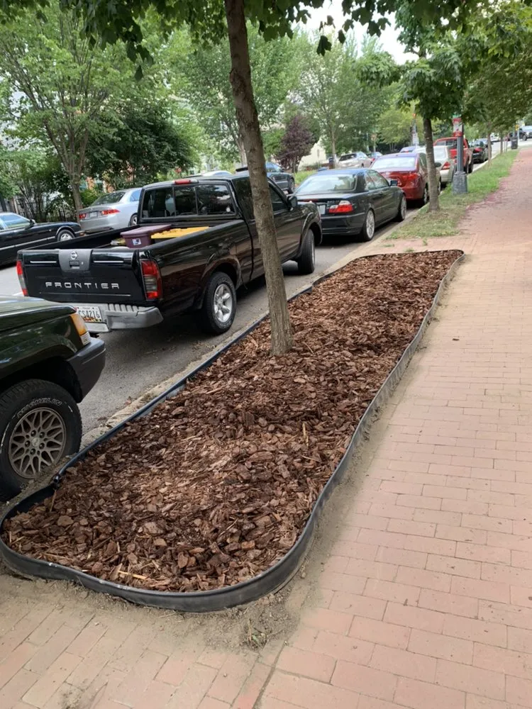 Affordable residential landscaping for residential properties across Glen Burnie, MD - S&S Hauling and Junk Removal