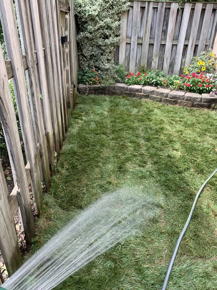 Affordable lawn care service for beautiful yards in Glen Burnie, MD by S&S Hauling and Junk Removal