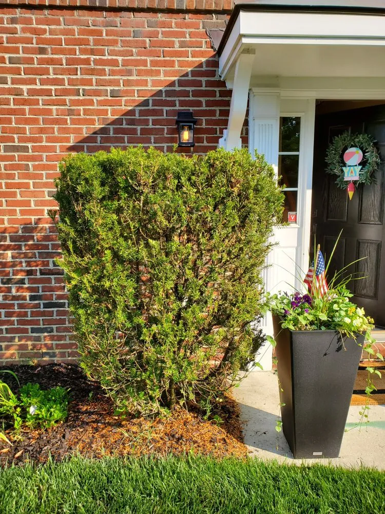 Professional yard maintenance for outdoor upgrades across Glen Burnie, MD - S&S Hauling and Junk Removal