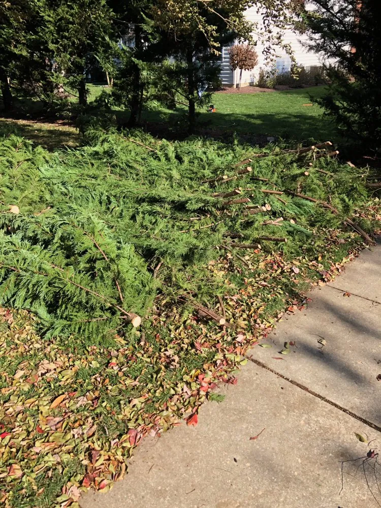 Custom lawn mowing service near you across Annapolis, MD - S&S Hauling and Landscaping