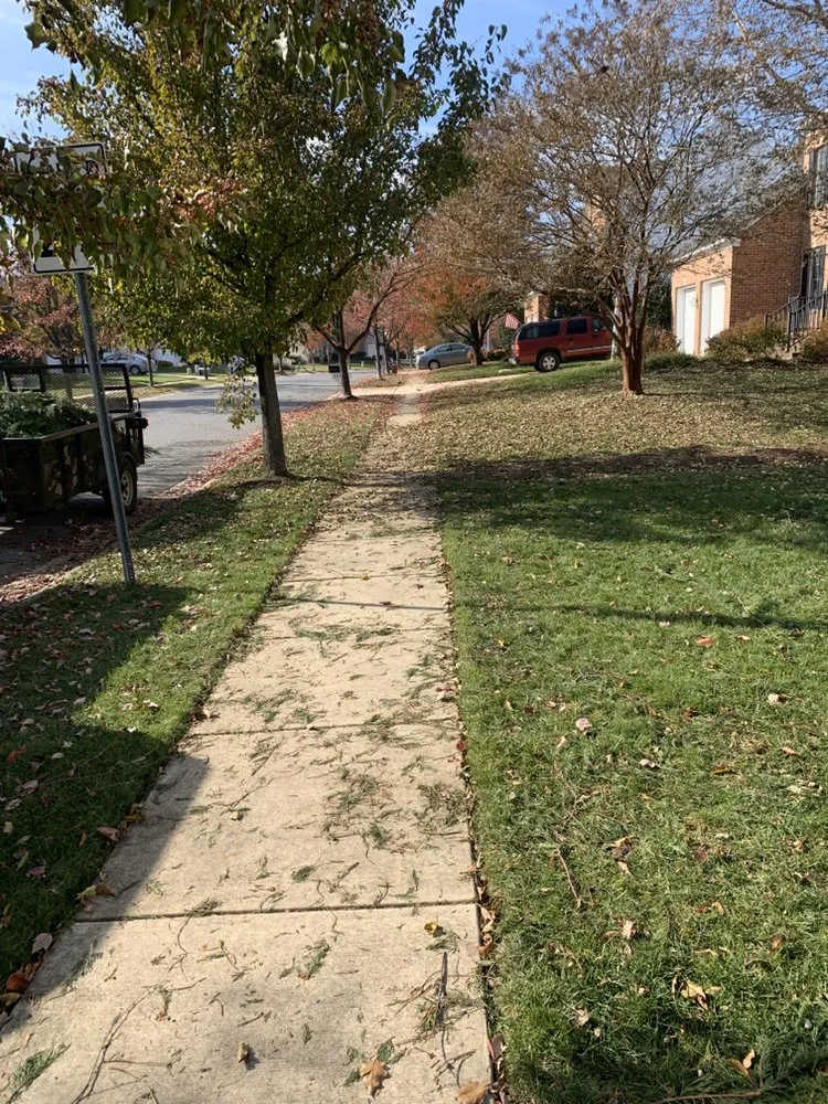 Professional yard cleanup service for outdoor upgrades in Annapolis, MD by S&S Hauling and Landscaping