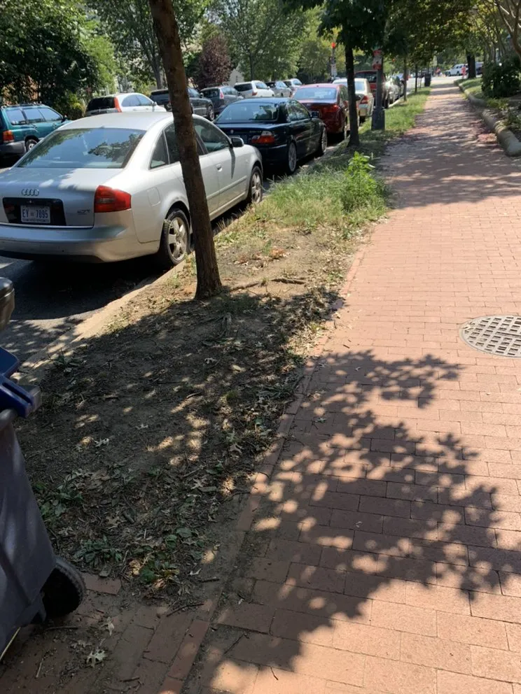 Local lawn mowing service for year-round maintenance in Annapolis, MD by S&S Hauling and Landscaping